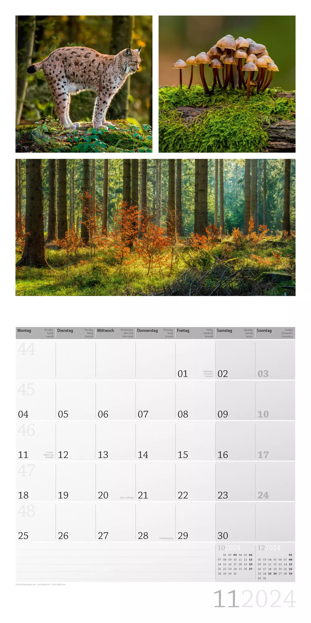 Art12 Collection Kalender Colours of Nature 2024 - 30x30 - Innenansicht 11