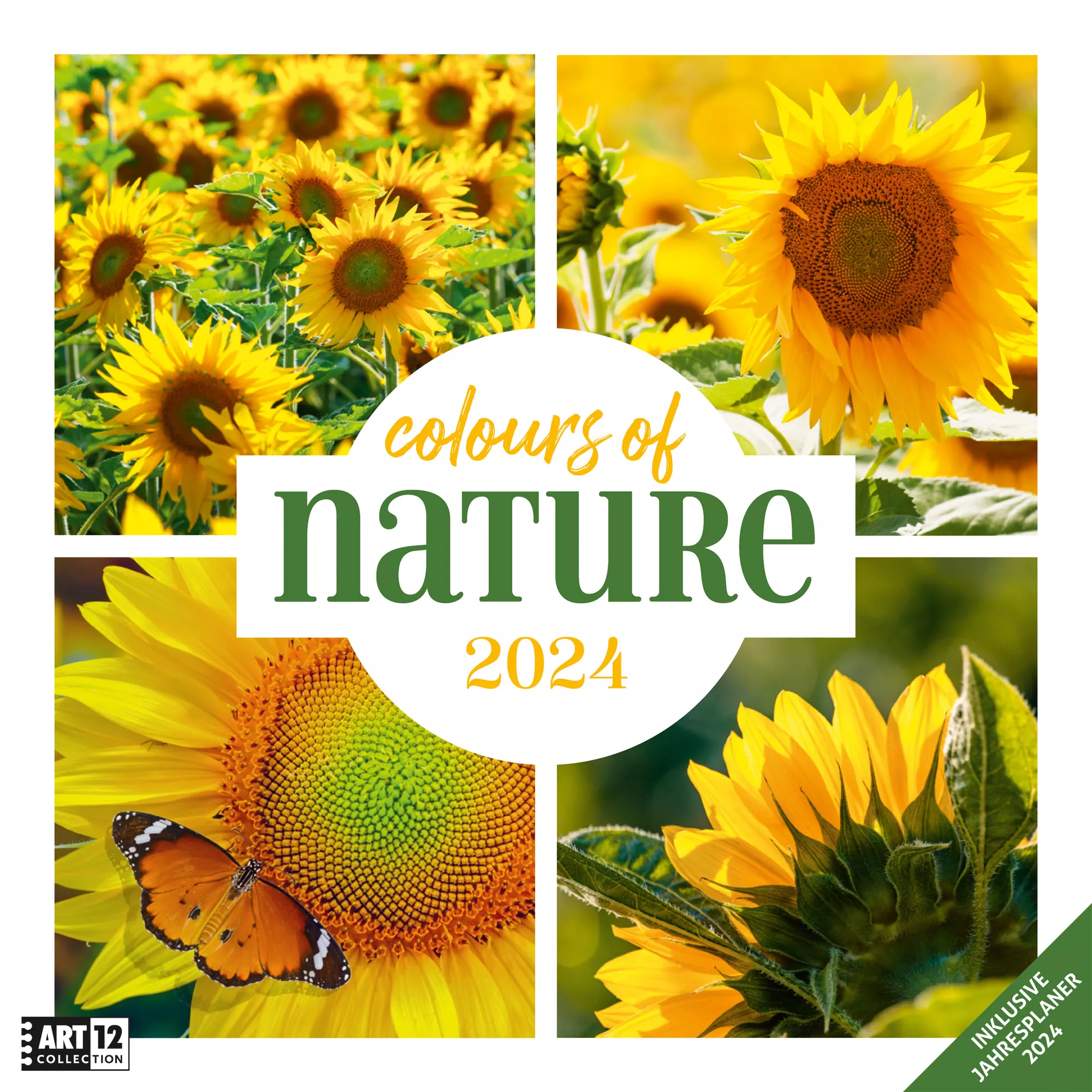 Art12 Collection Kalender Colours of Nature 2024 - 30x30 - Titelblatt
