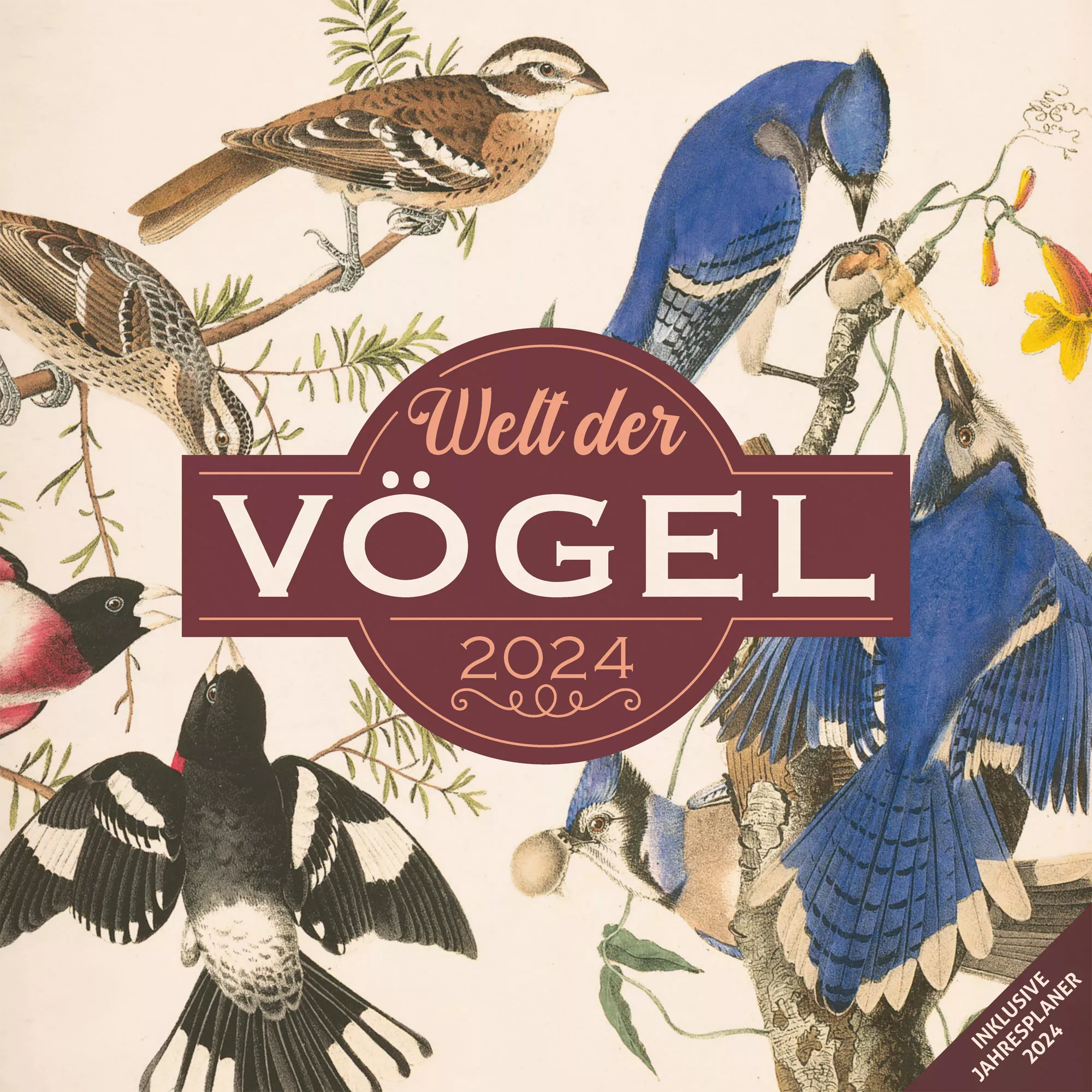 Art12 Collection Kalender Welt der Vögel 2024 - 30x30 - Titelblatt