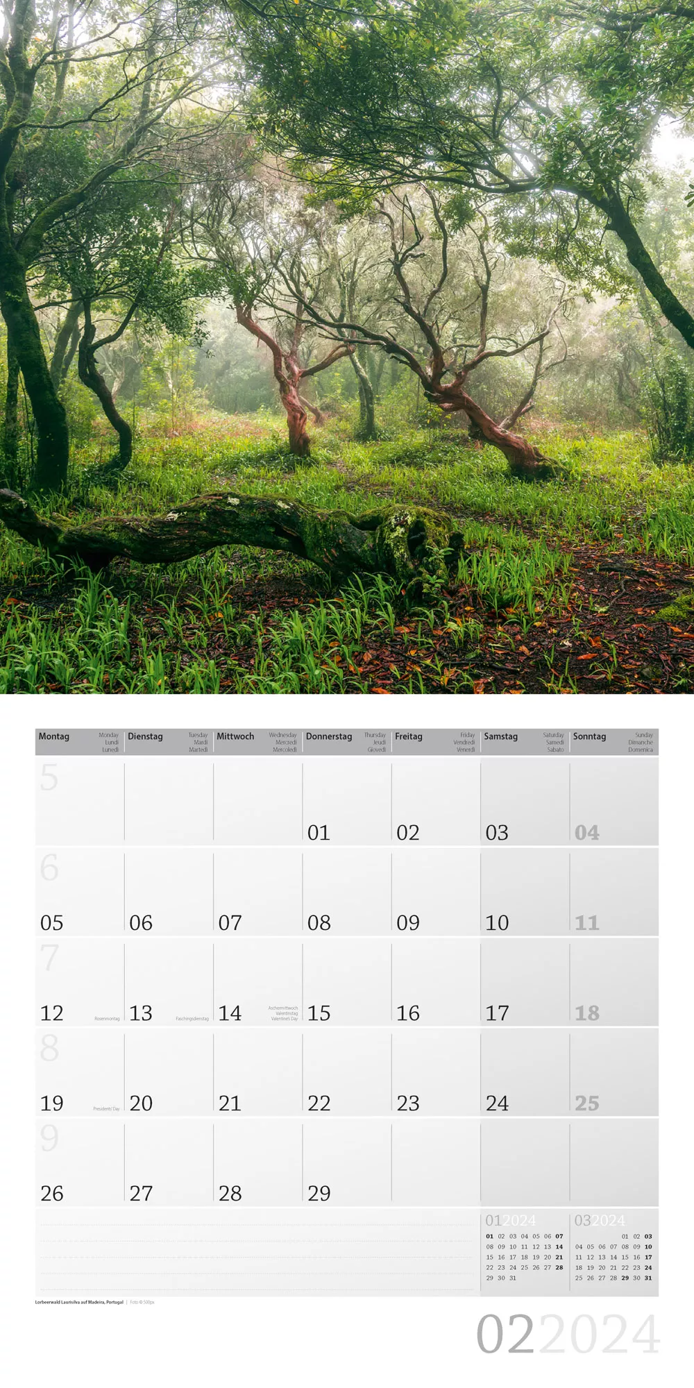 Art12 Collection Kalender Zauber des Waldes 2024 - 30x30 - Innenansicht 02