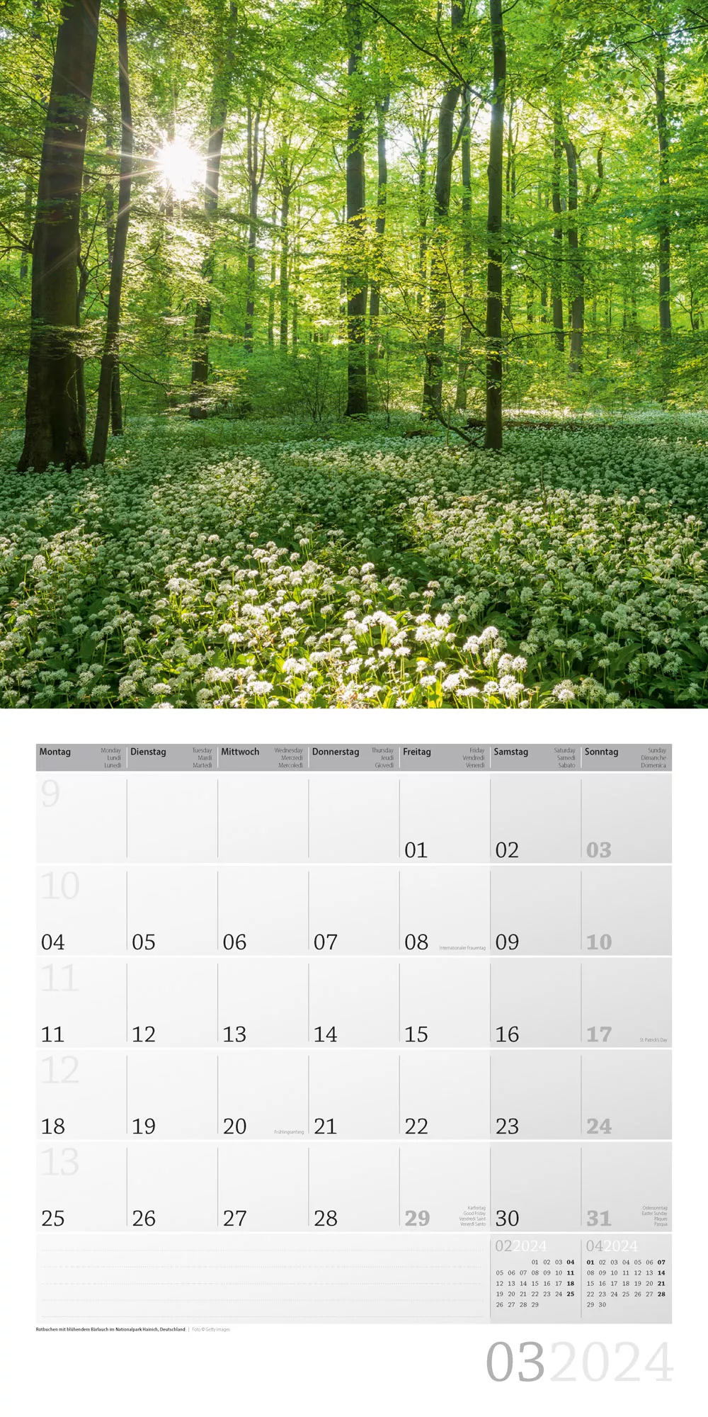 Art12 Collection Kalender Zauber des Waldes 2024 - 30x30 - Innenansicht 03