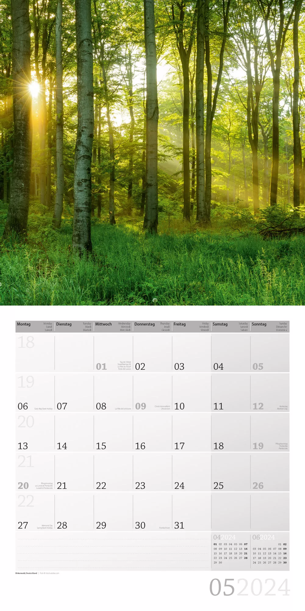 Art12 Collection Kalender Zauber des Waldes 2024 - 30x30 - Innenansicht 05