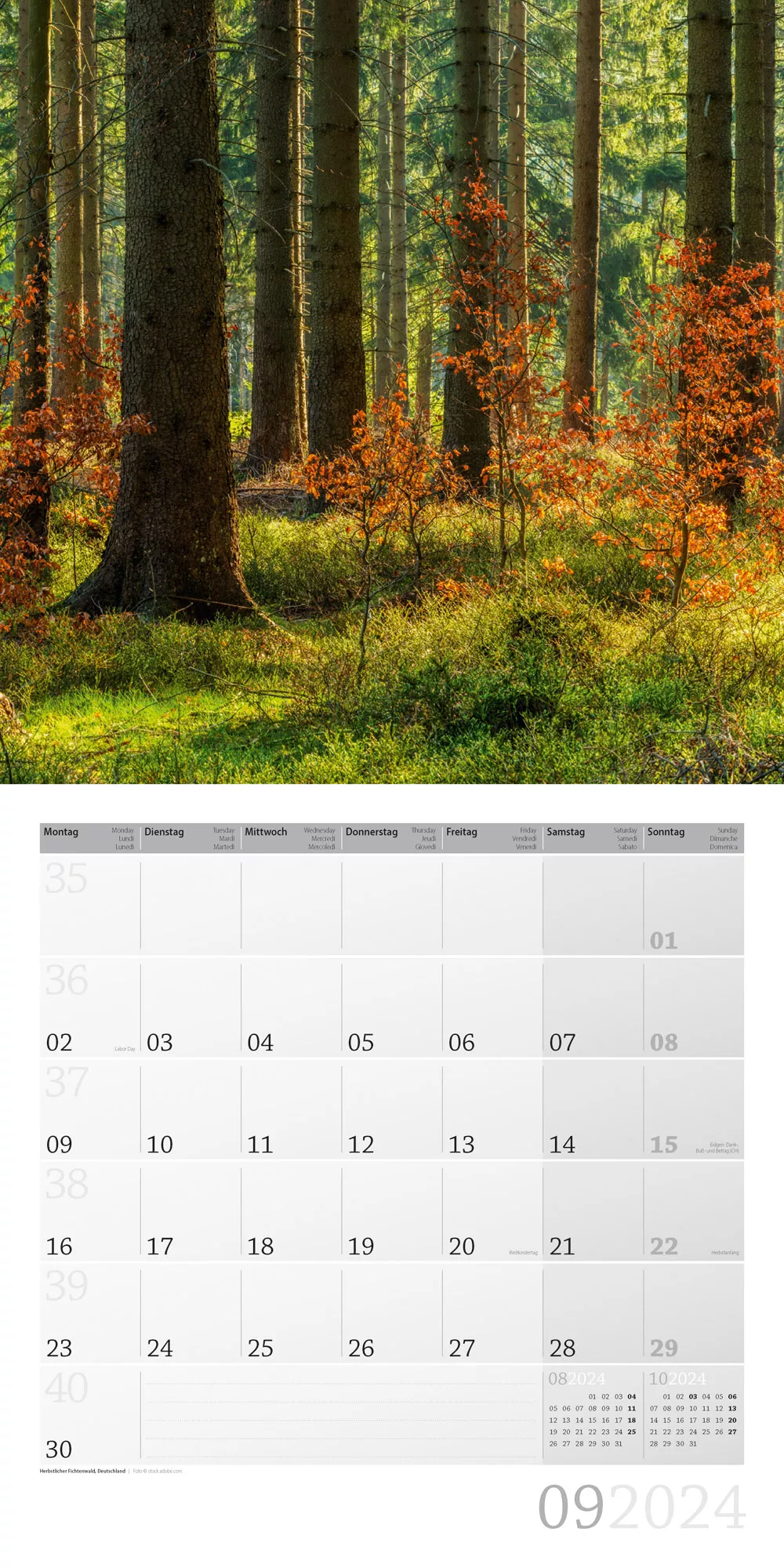 Art12 Collection Kalender Zauber des Waldes 2024 - 30x30 - Innenansicht 09