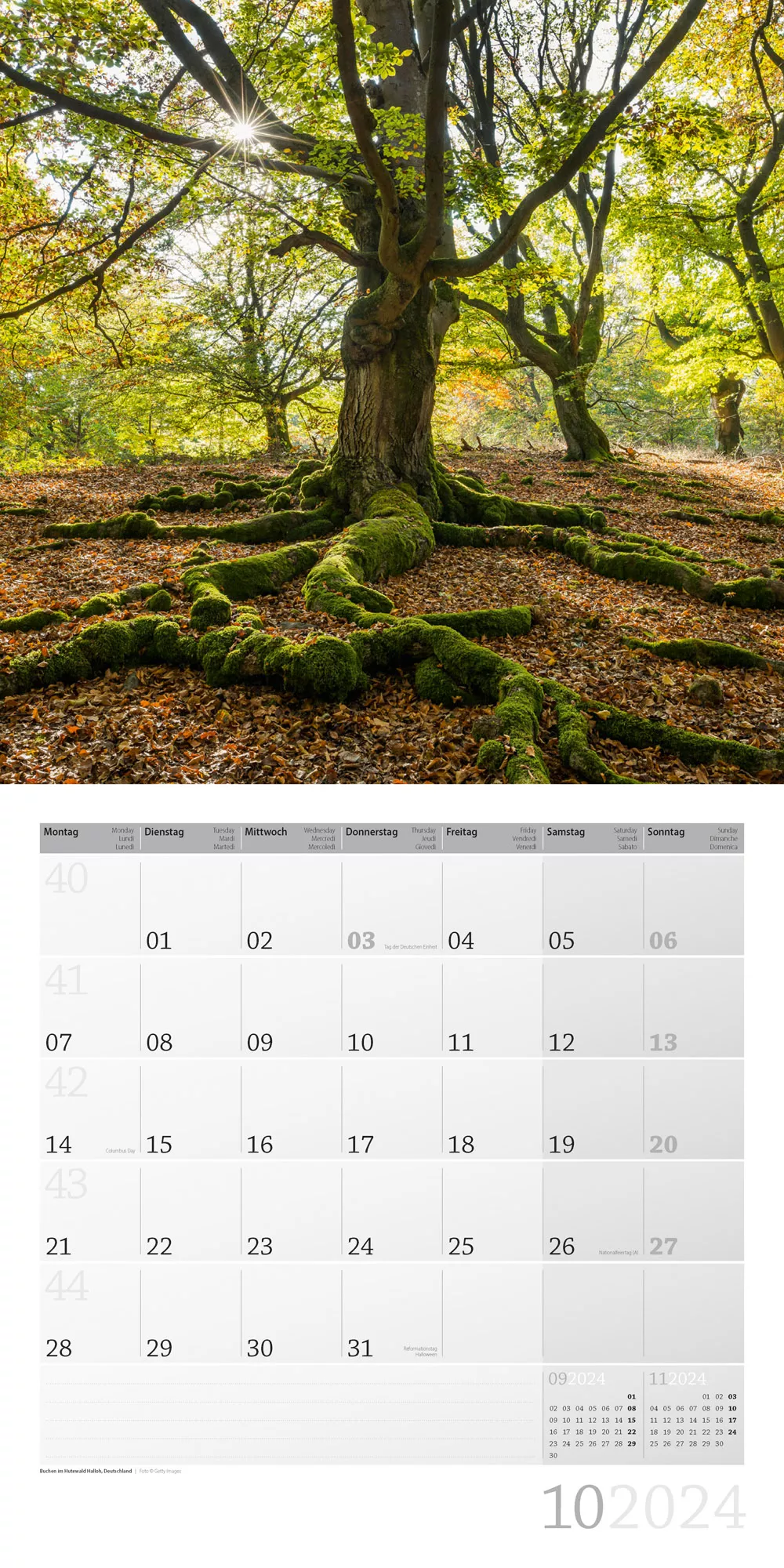 Art12 Collection Kalender Zauber des Waldes 2024 - 30x30 - Innenansicht 10