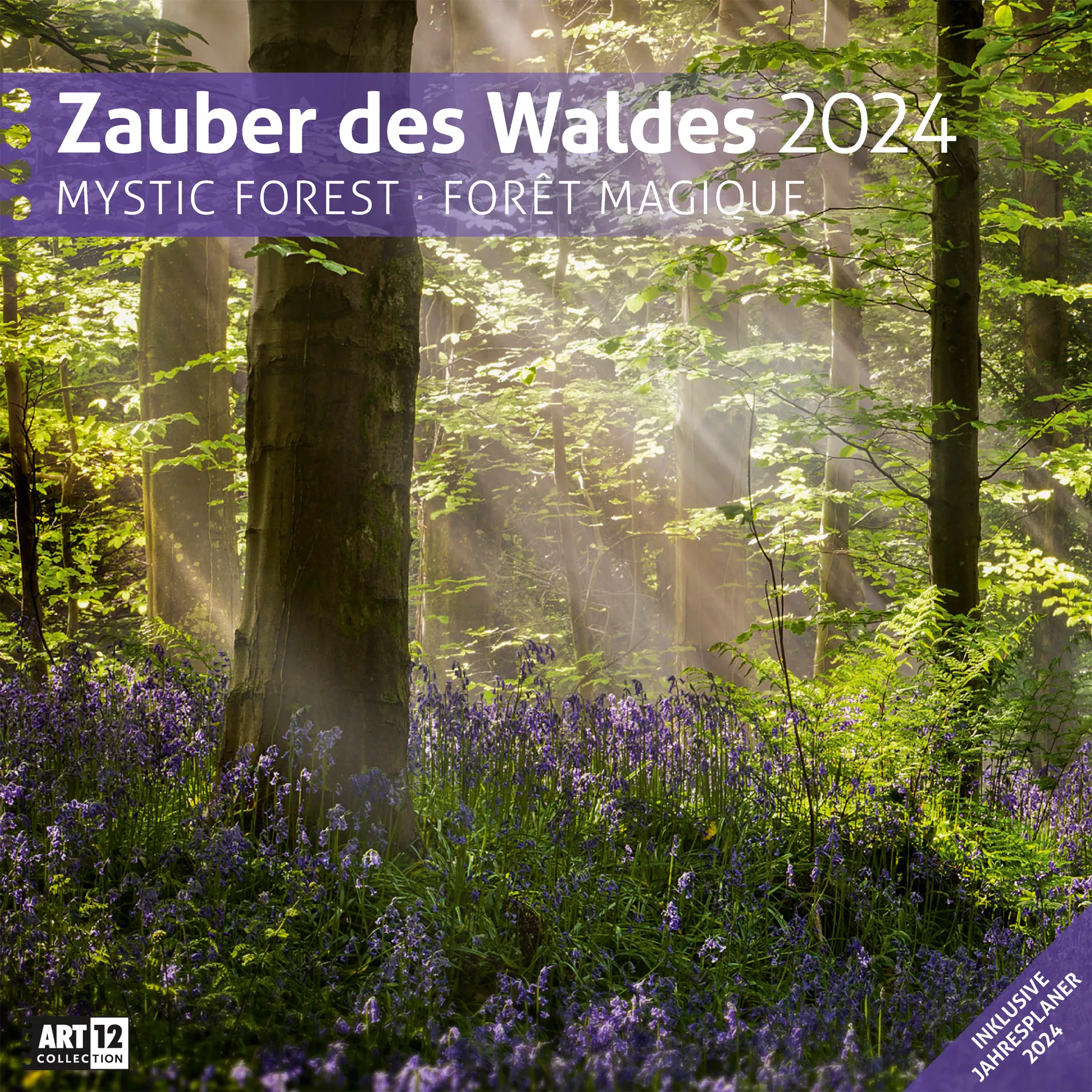 Art12 Collection Kalender Zauber des Waldes 2024 - 30x30 - Titelblatt