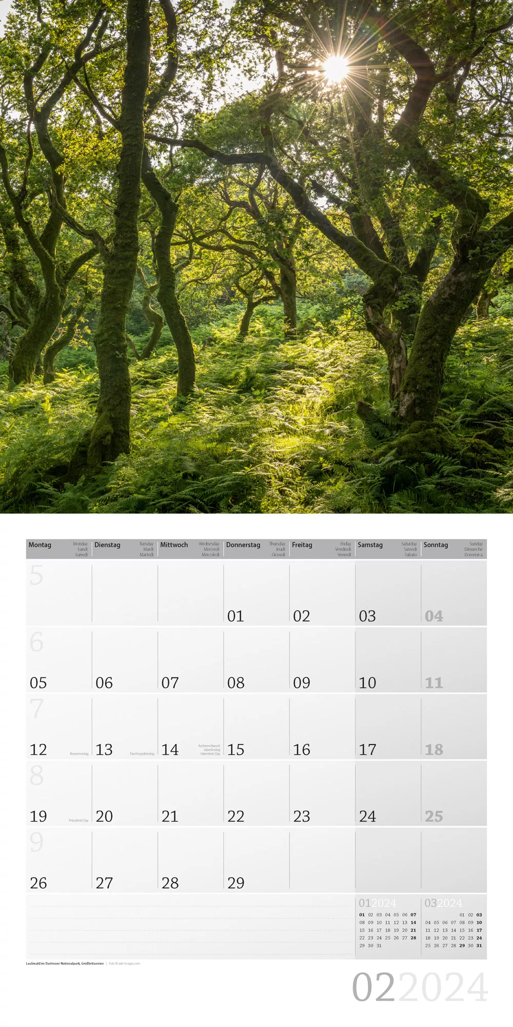 Art12 Collection Kalender Bäume 2024 - 30x30 - Innenansicht 02