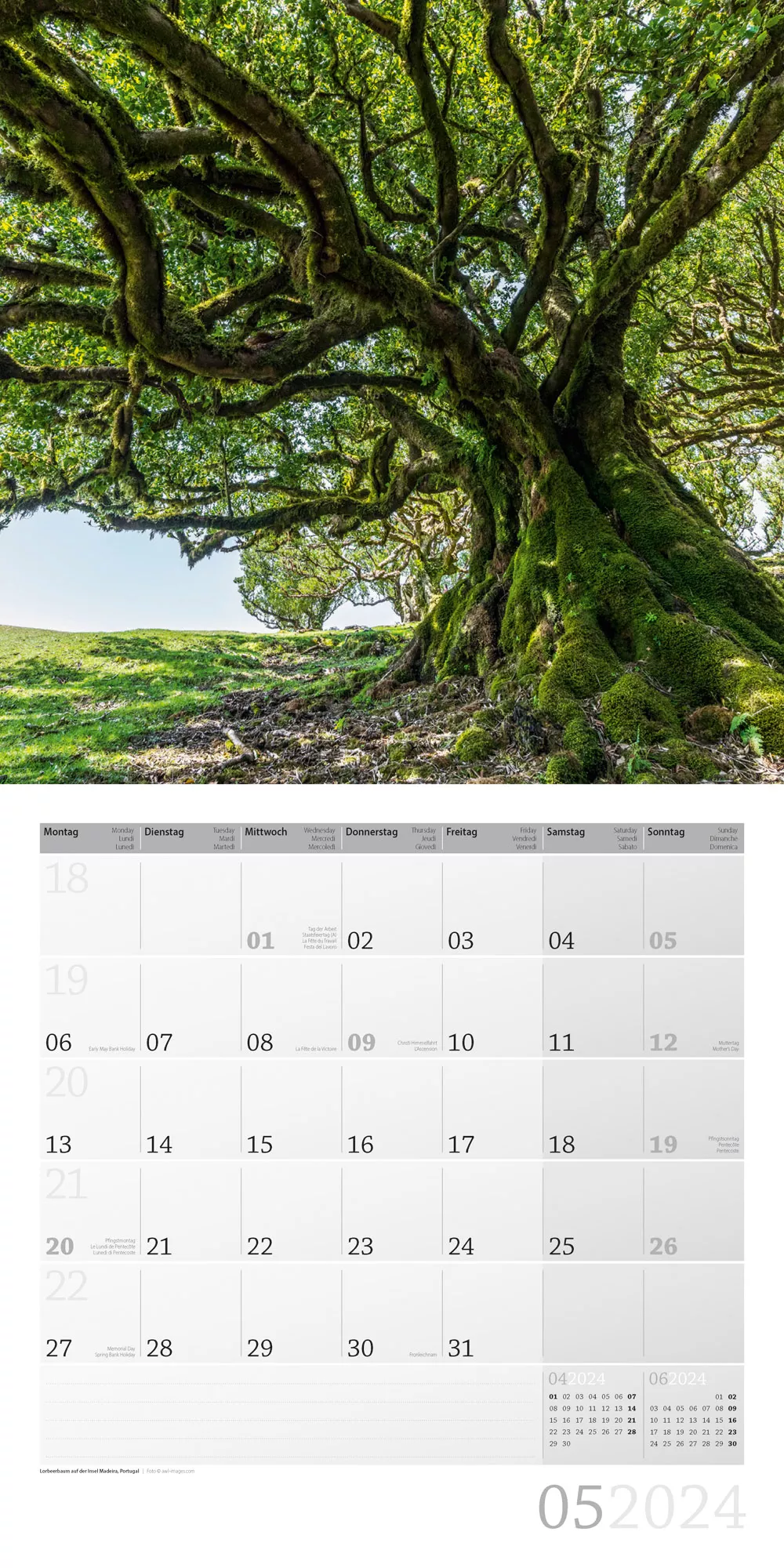 Art12 Collection Kalender Bäume 2024 - 30x30 - Innenansicht 05