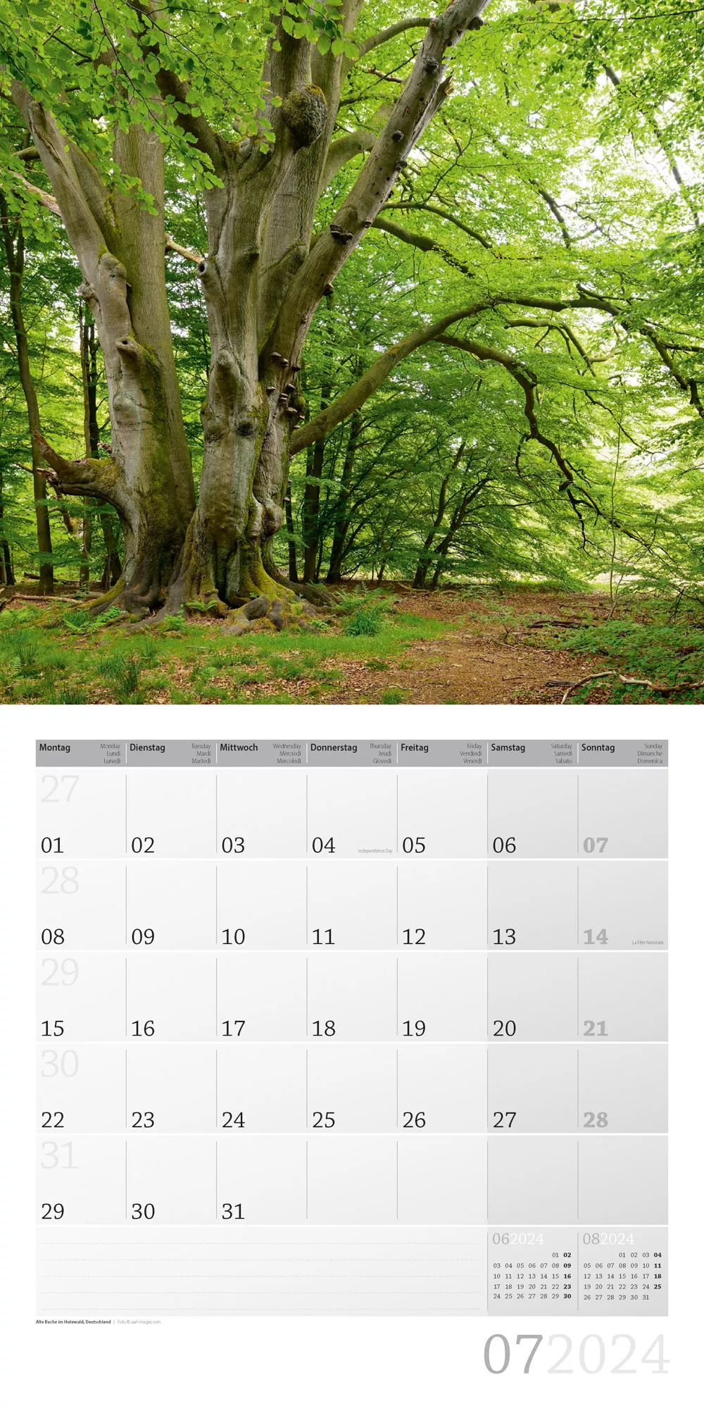 Art12 Collection Kalender Bäume 2024 - 30x30 - Innenansicht 07