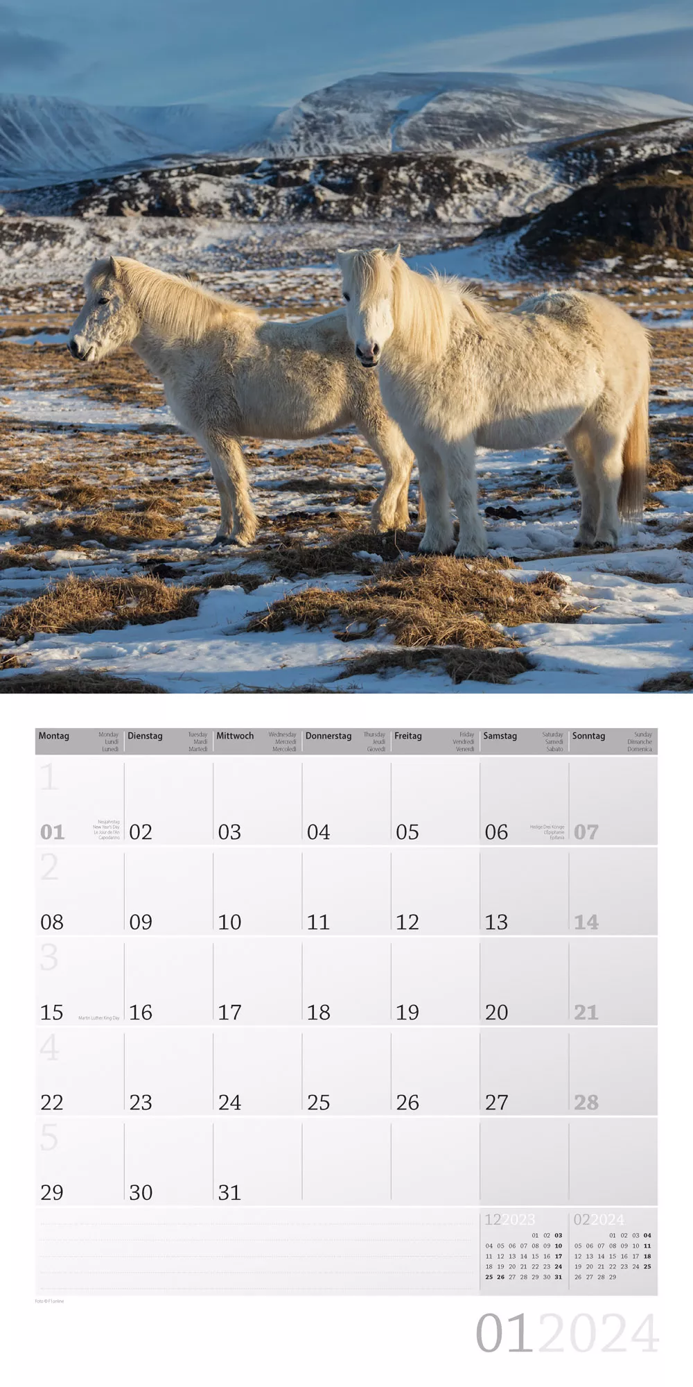 Art12 Collection Kalender Pferde 2024 - 30x30 - Innenansicht 01