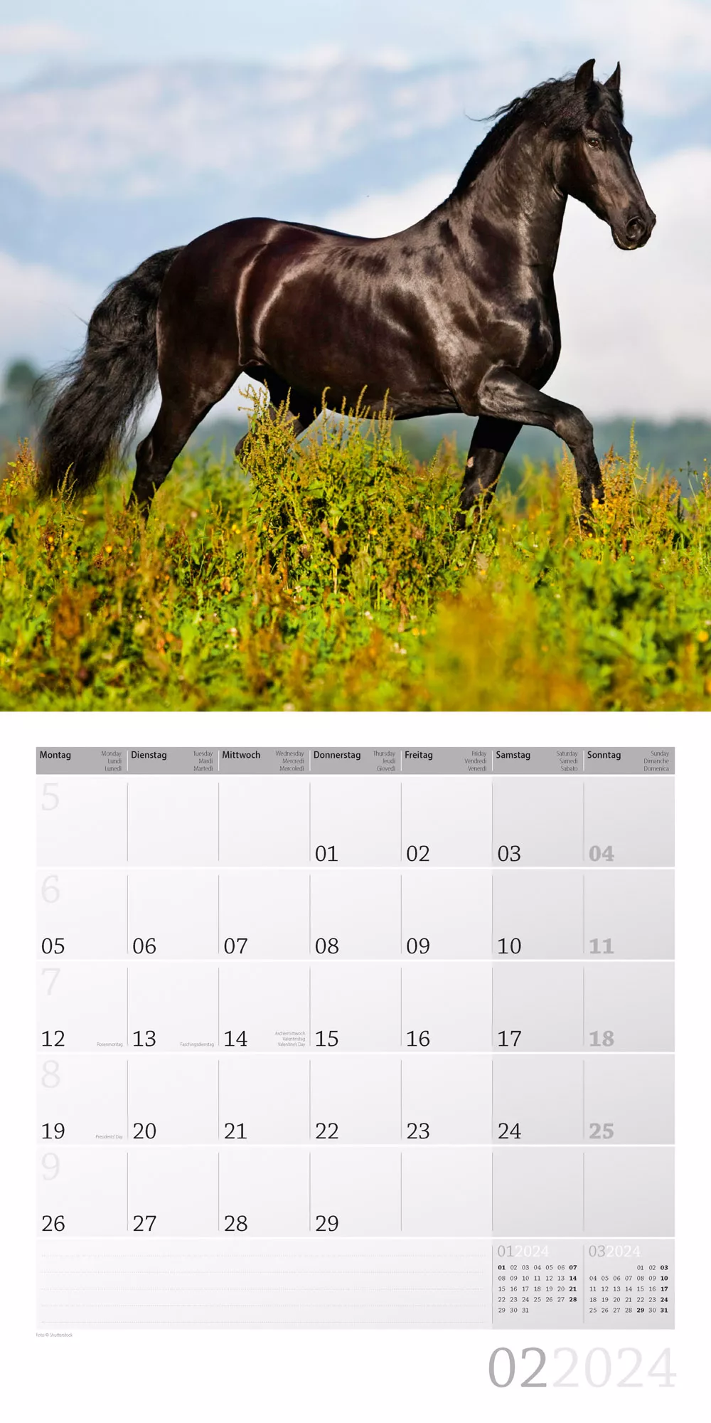 Art12 Collection Kalender Pferde 2024 - 30x30 - Innenansicht 02