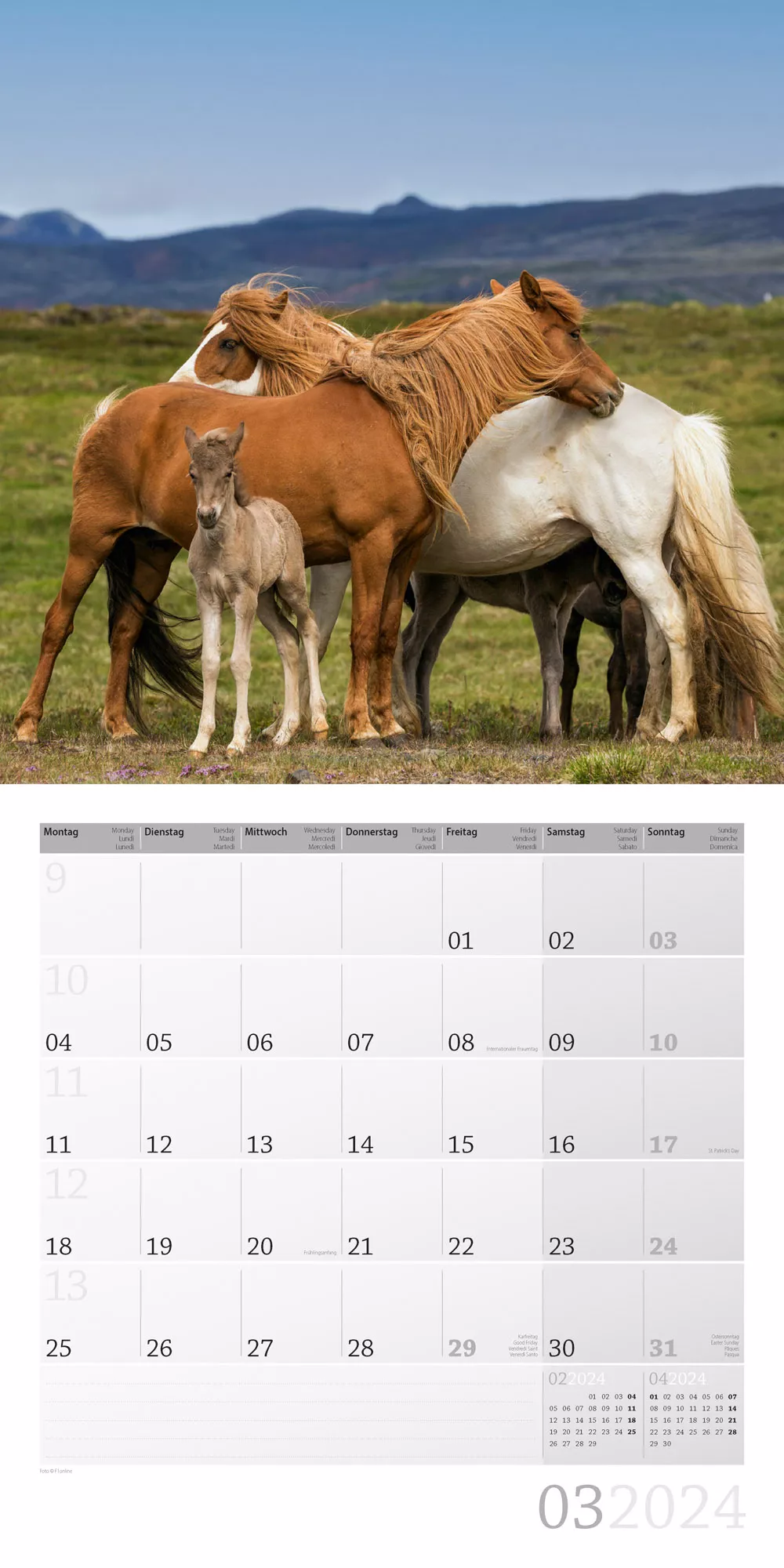 Art12 Collection Kalender Pferde 2024 - 30x30 - Innenansicht 03