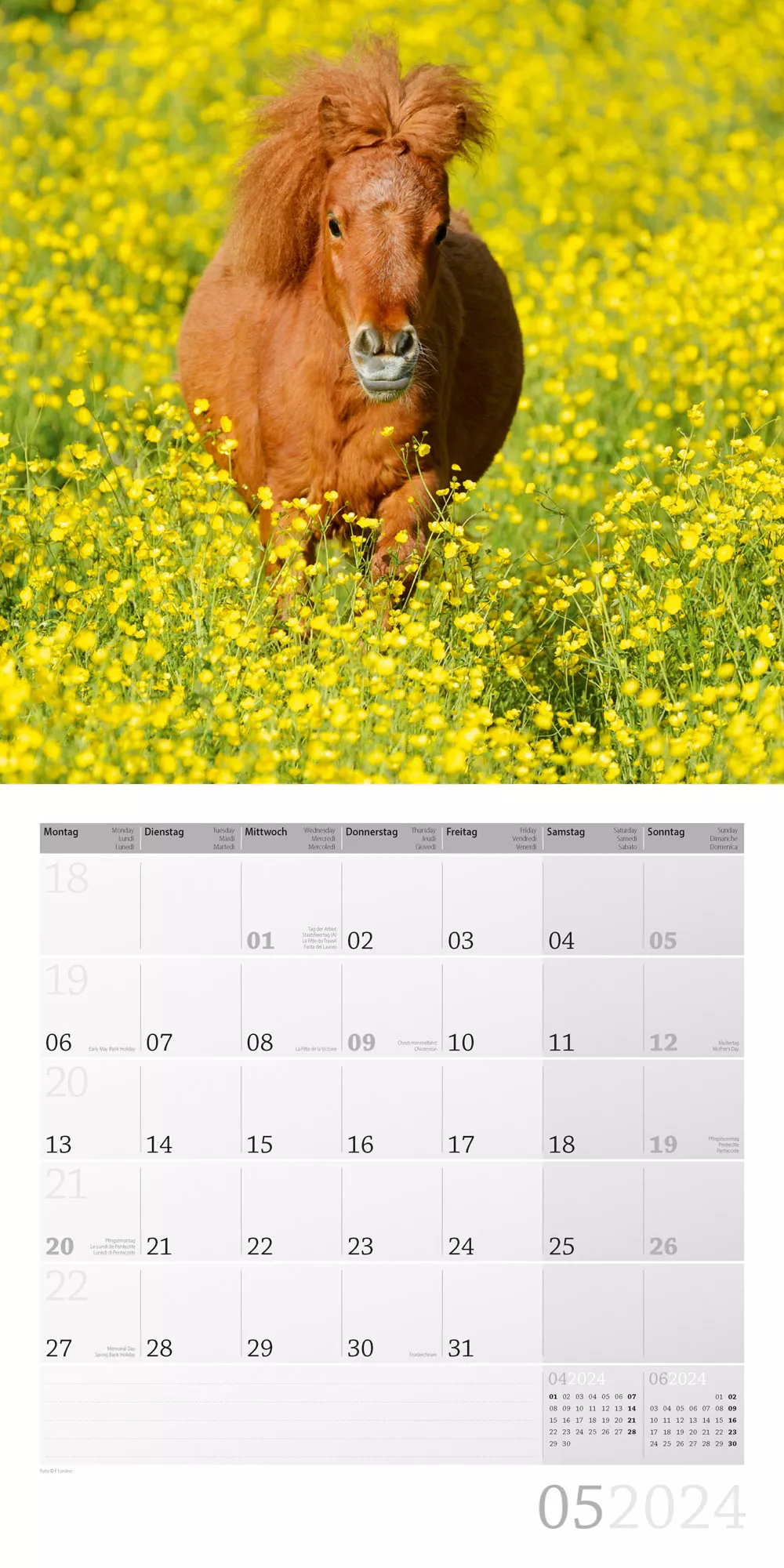 Art12 Collection Kalender Pferde 2024 - 30x30 - Innenansicht 05