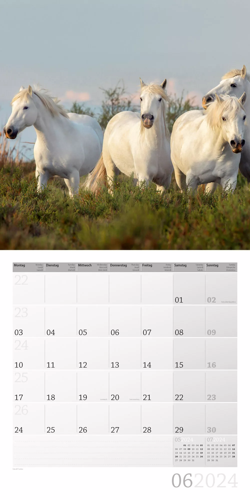 Art12 Collection Kalender Pferde 2024 - 30x30 - Innenansicht 06
