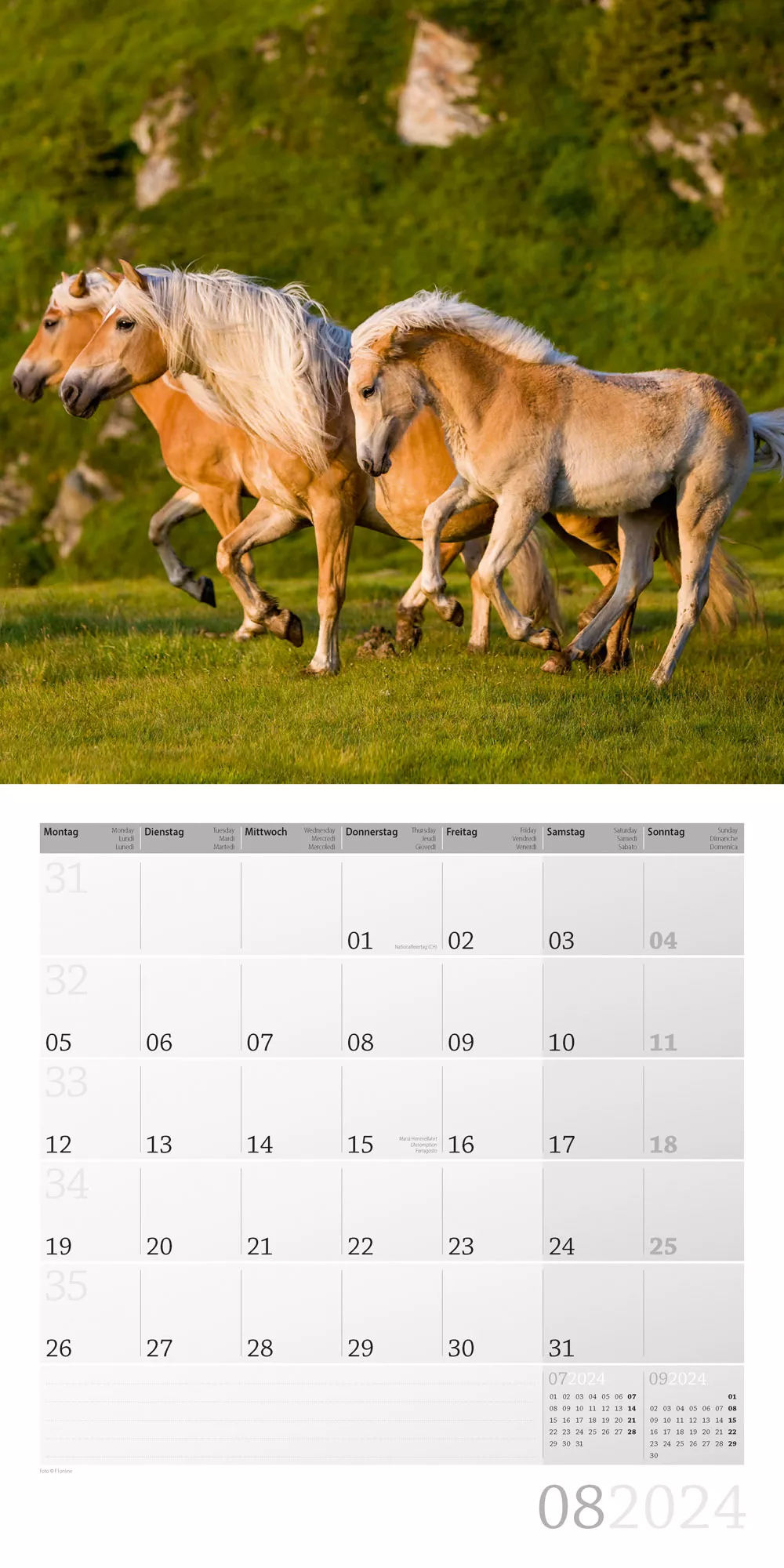 Art12 Collection Kalender Pferde 2024 - 30x30 - Innenansicht 08