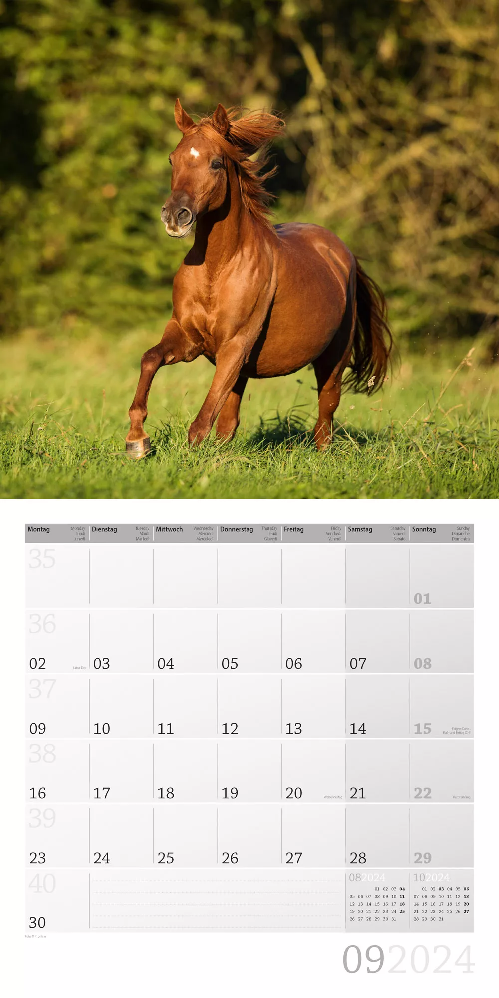 Art12 Collection Kalender Pferde 2024 - 30x30 - Innenansicht 09