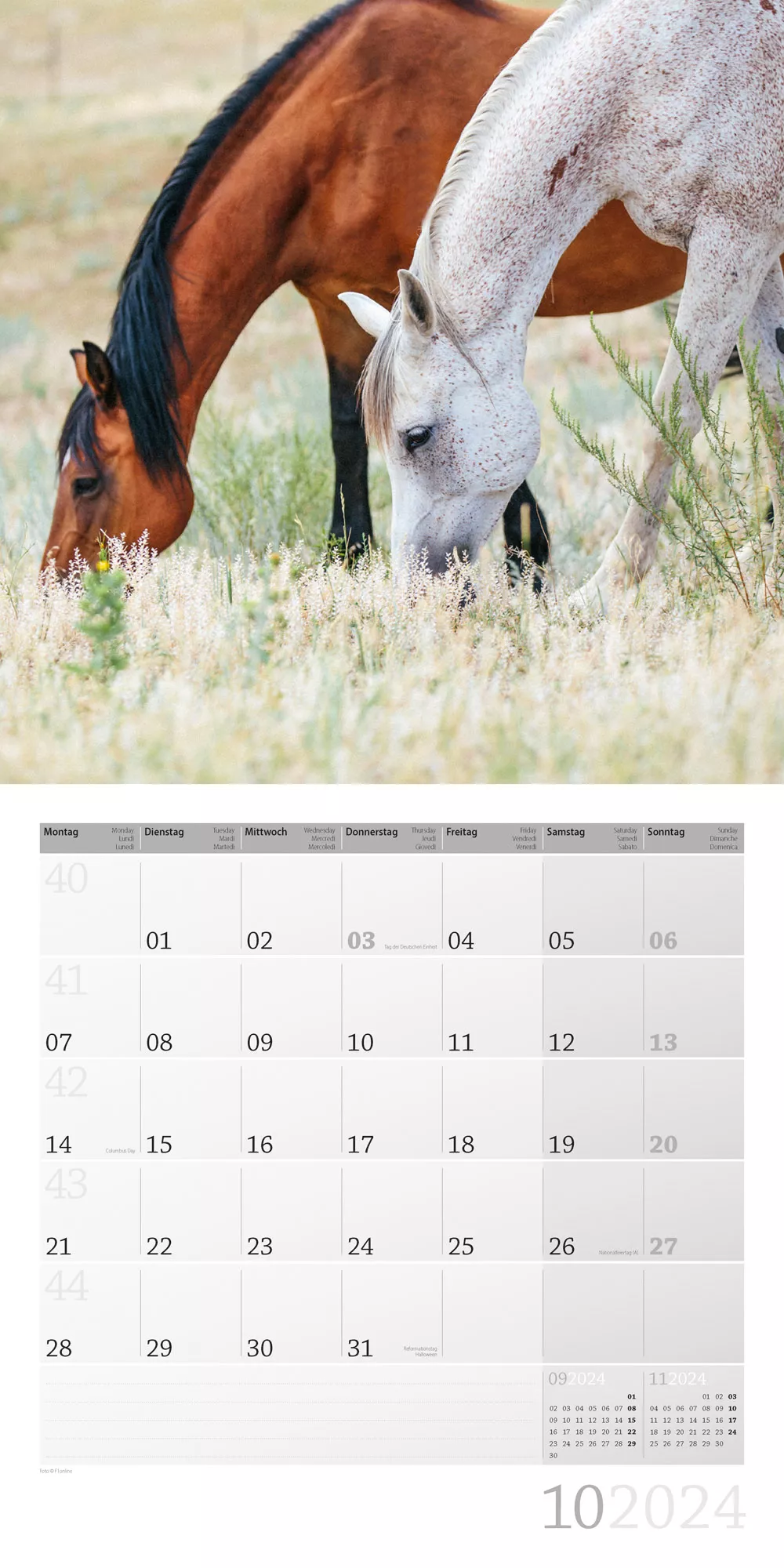 Art12 Collection Kalender Pferde 2024 - 30x30 - Innenansicht 10