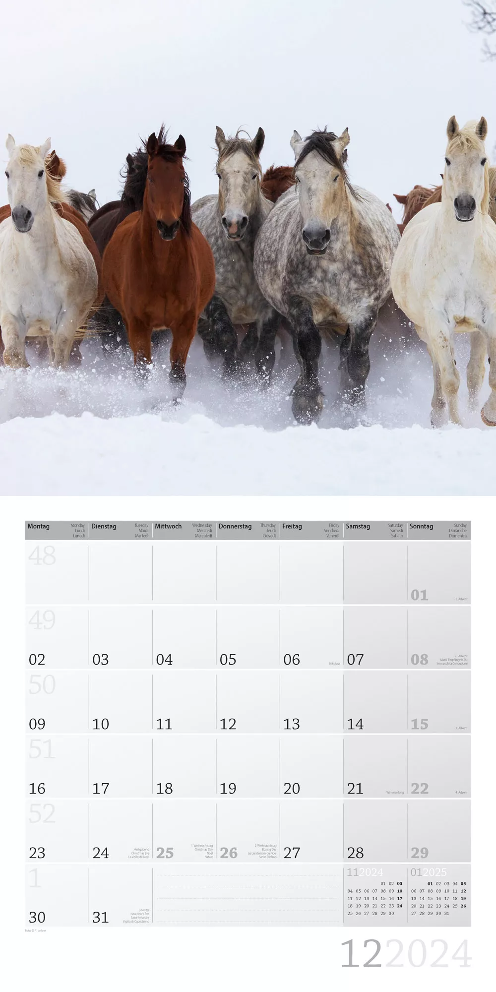 Art12 Collection Kalender Pferde 2024 - 30x30 - Innenansicht 12