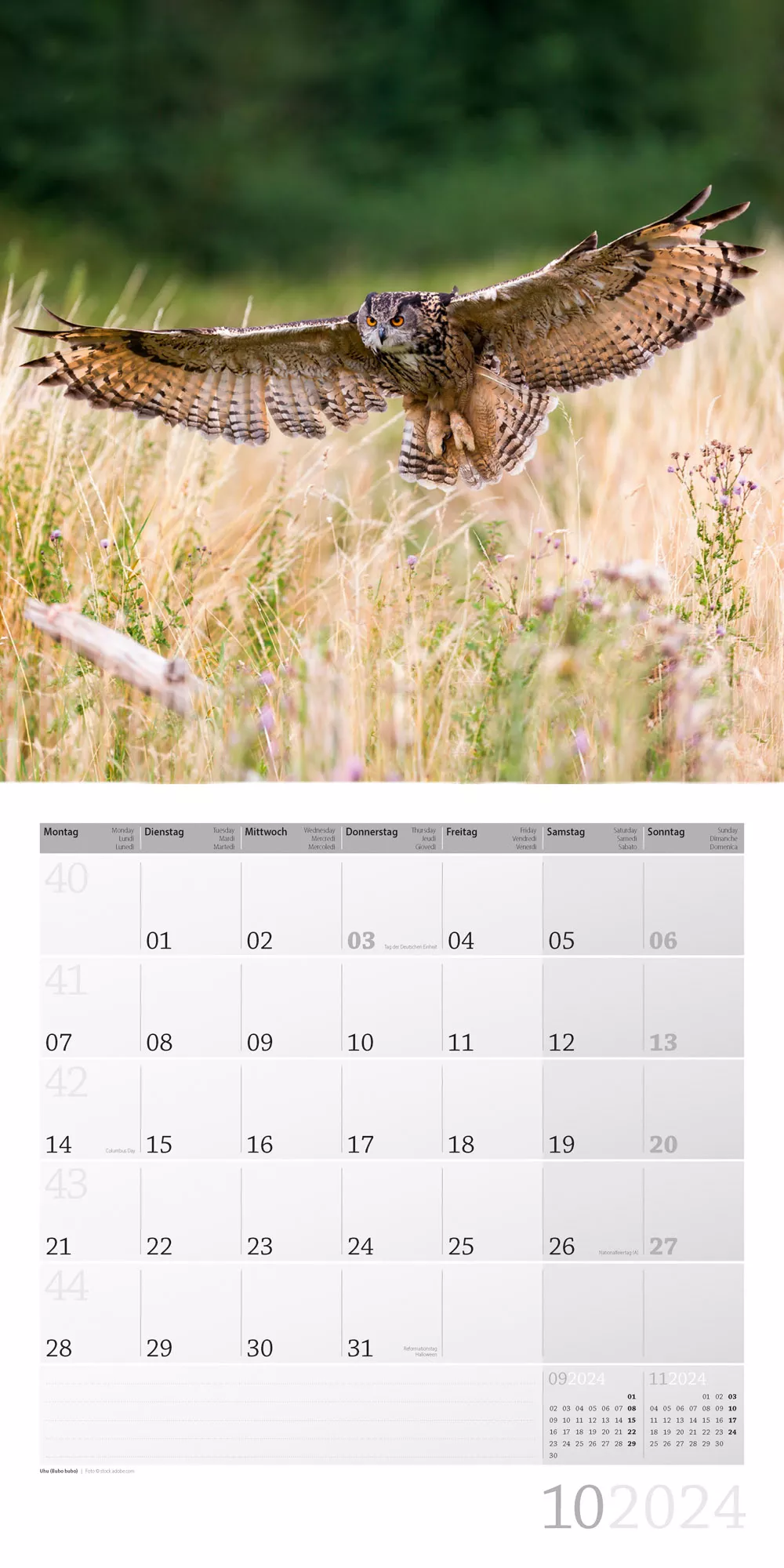 Art12 Collection Kalender Heimische Wildtiere 2024 - 30x30 - Innenansicht 10