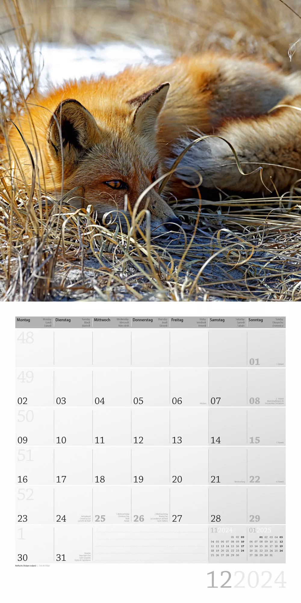 Art12 Collection Kalender Heimische Wildtiere 2024 - 30x30 - Innenansicht 12