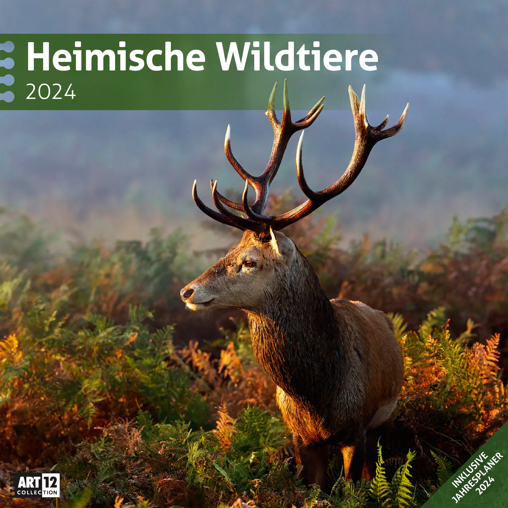 Art12 Collection Kalender Heimische Wildtiere 2024 - 30x30 - Titelblatt