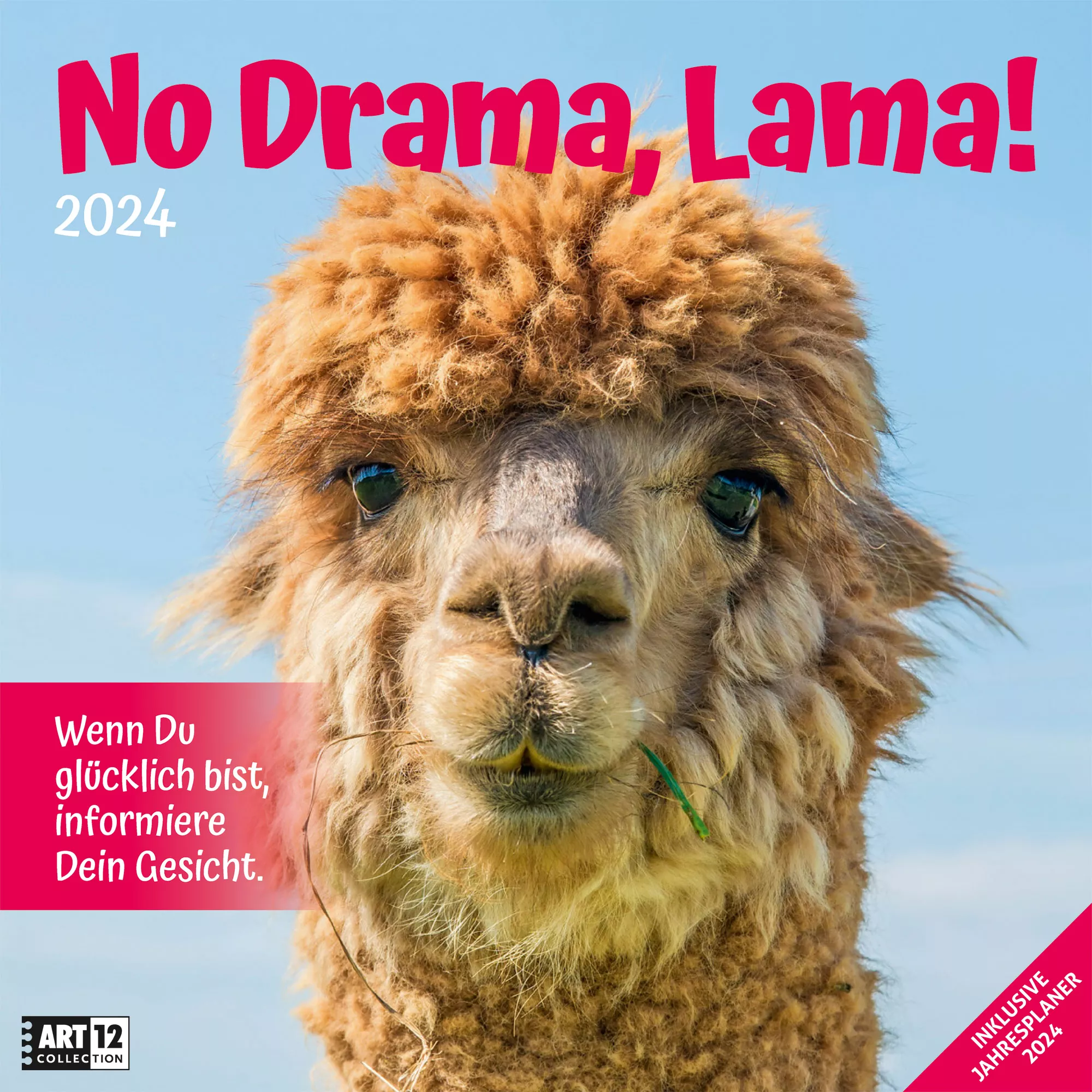 Art12 Collection Kalender No Drama, Lama! 2024 - 30x30 - Titelblatt