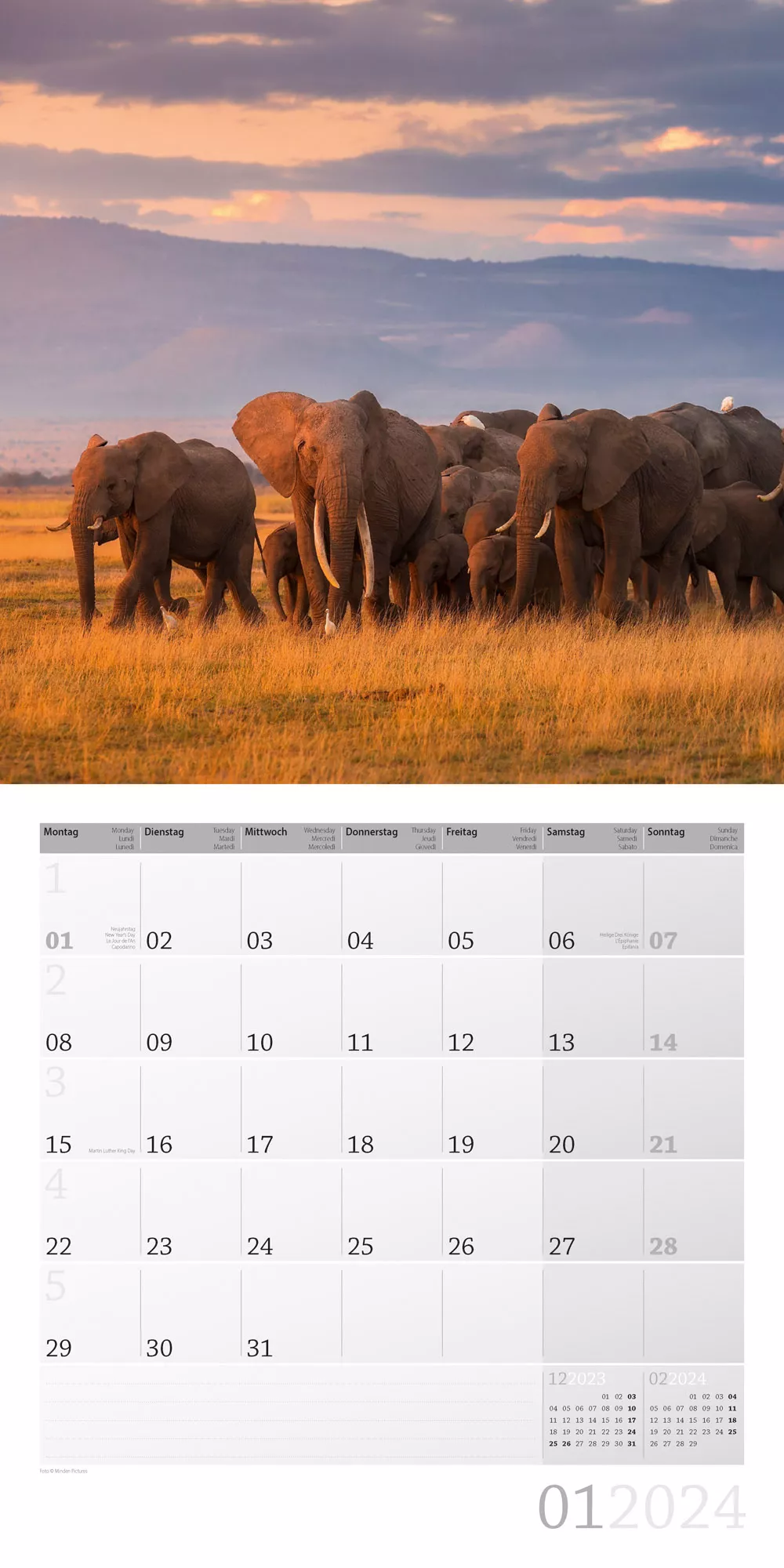 Art12 Collection Kalender Elefanten 2024 - 30x30 - Innenansicht 01