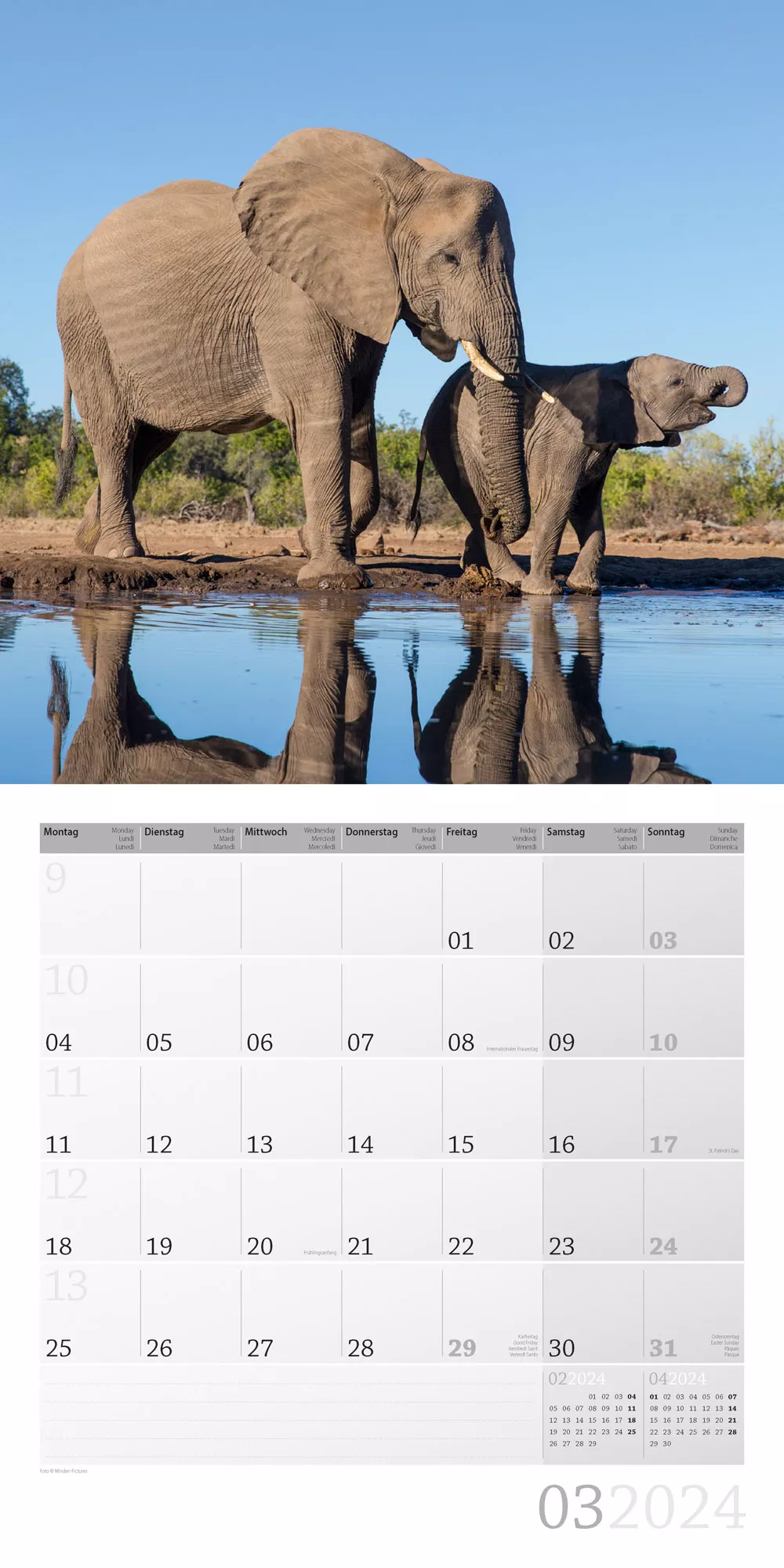Art12 Collection Kalender Elefanten 2024 - 30x30 - Innenansicht 03