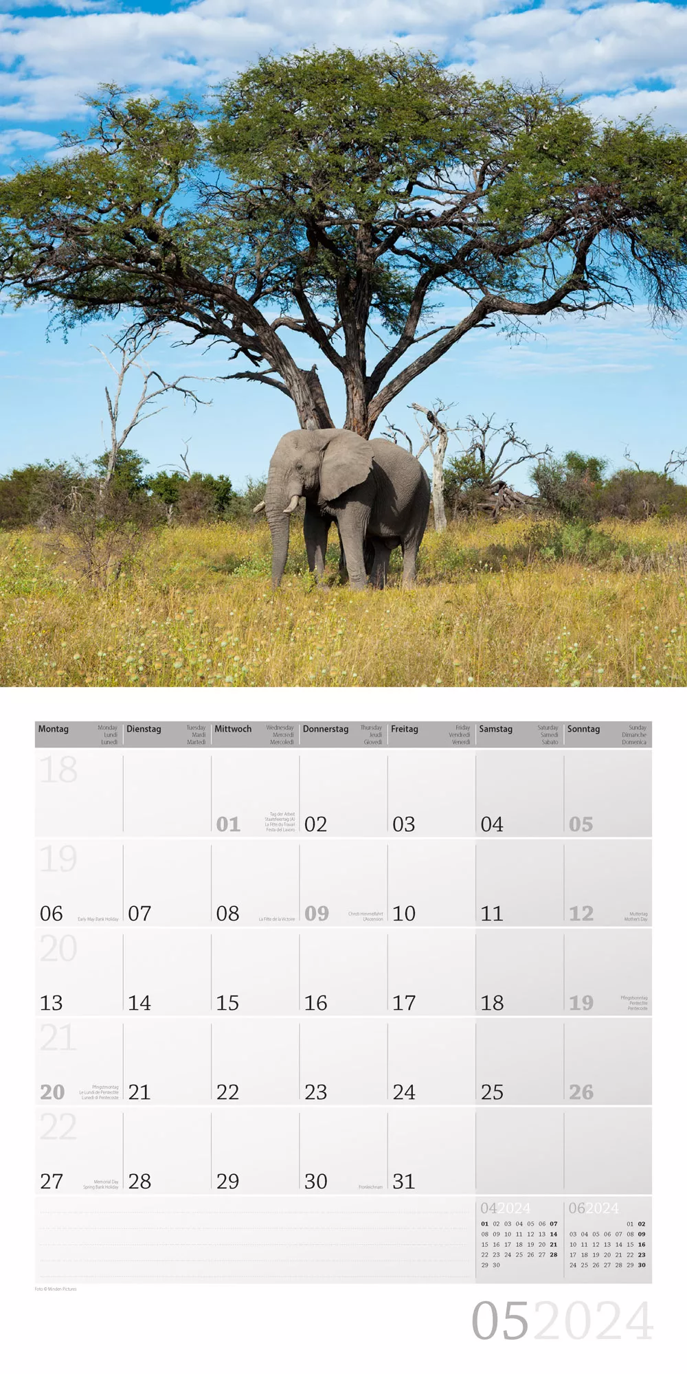 Art12 Collection Kalender Elefanten 2024 - 30x30 - Innenansicht 05