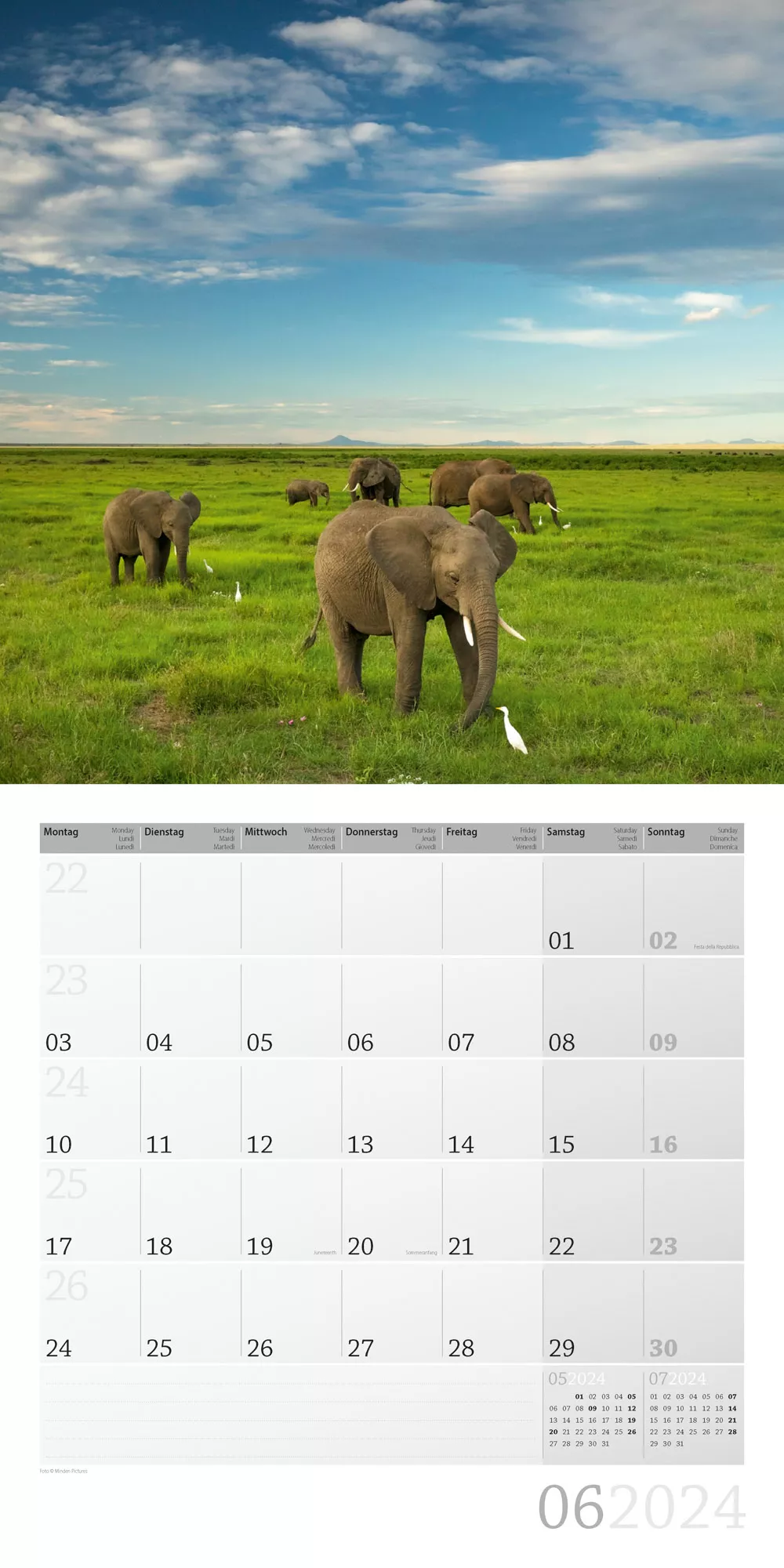 Art12 Collection Kalender Elefanten 2024 - 30x30 - Innenansicht 06