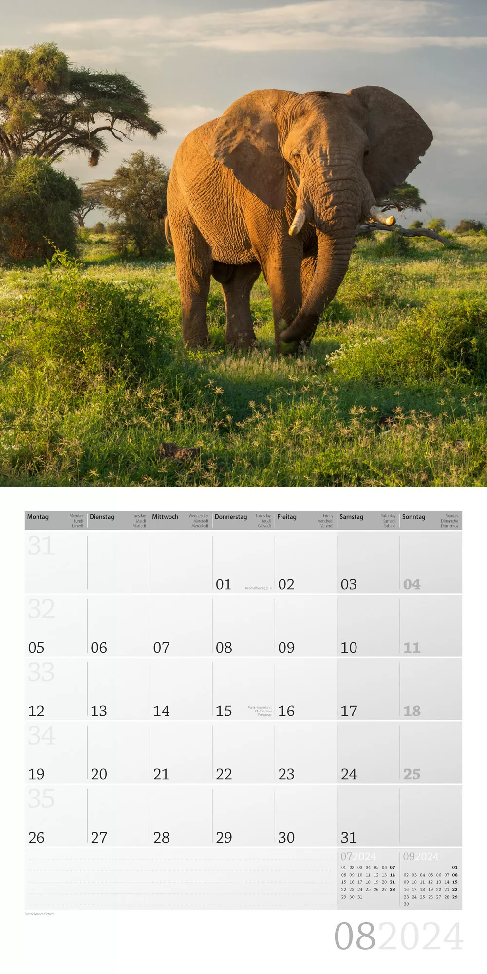 Art12 Collection Kalender Elefanten 2024 - 30x30 - Innenansicht 08