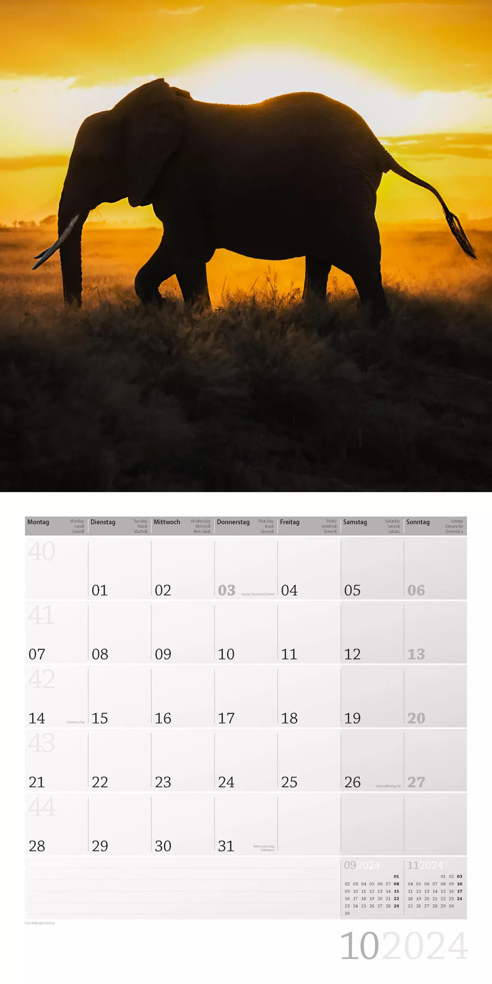 Art12 Collection Kalender Elefanten 2024 - 30x30 - Innenansicht 10