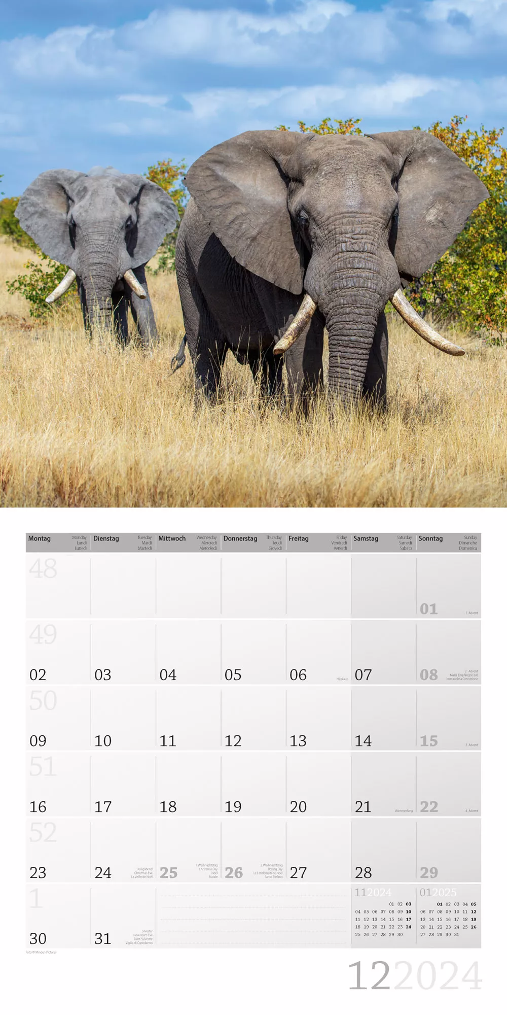 Art12 Collection Kalender Elefanten 2024 - 30x30 - Innenansicht 12