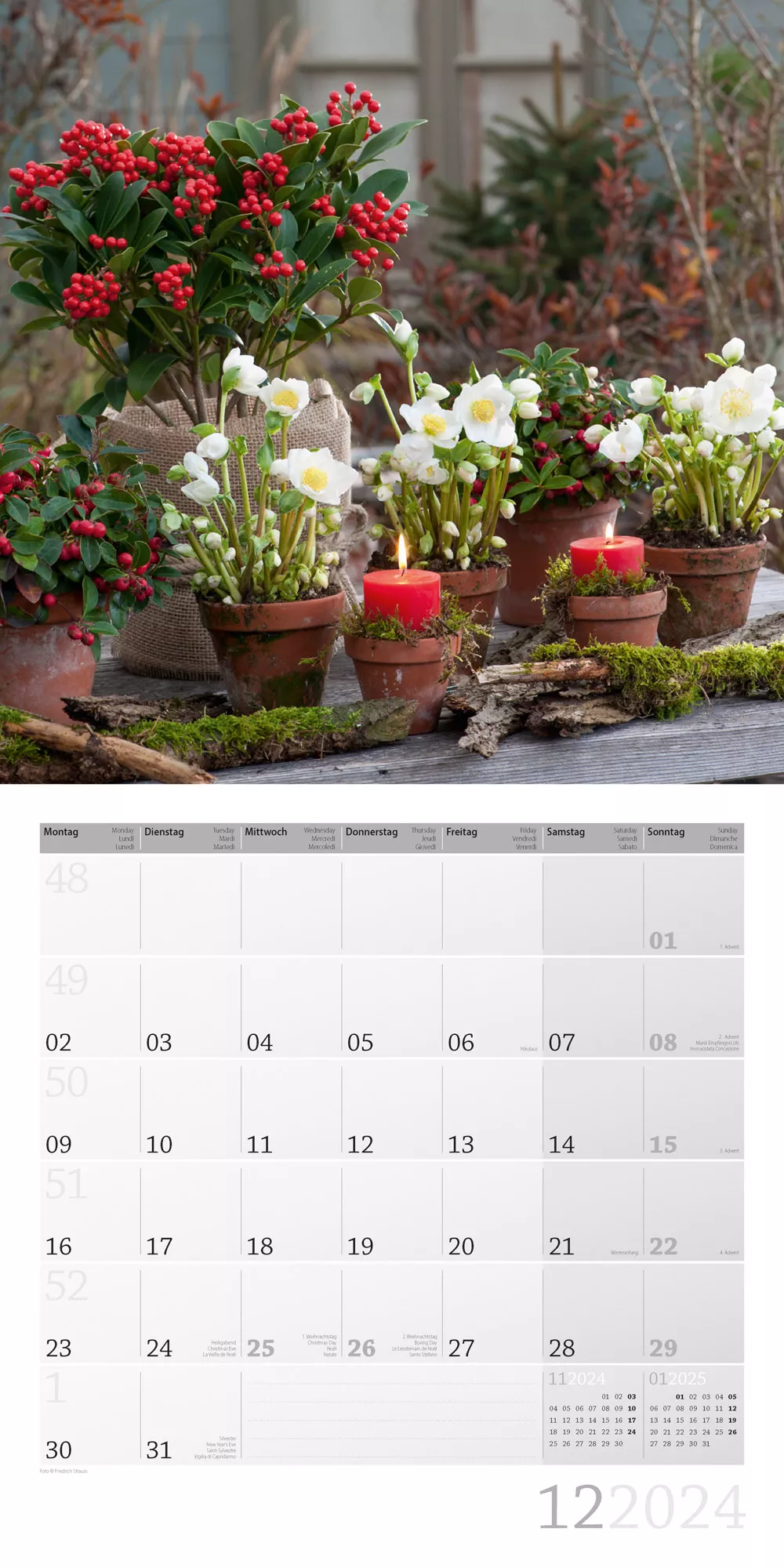 Art12 Collection Kalender In meinem Garten 2024 - 30x30 - Innenansicht 12